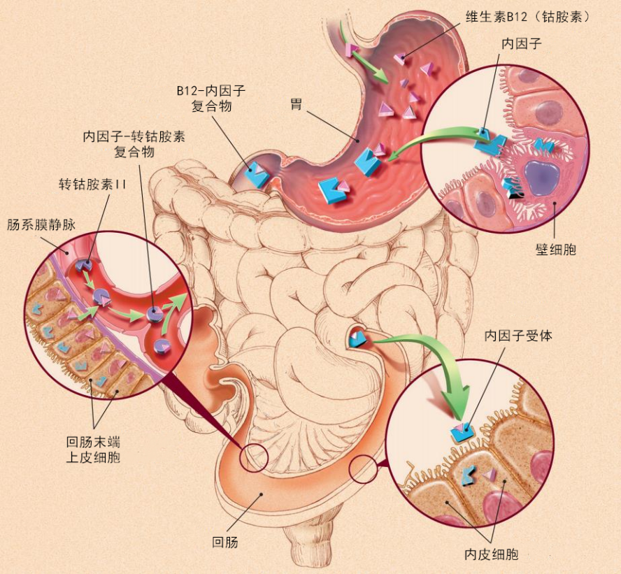 圖片1.png