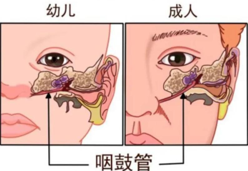 圖片1.png