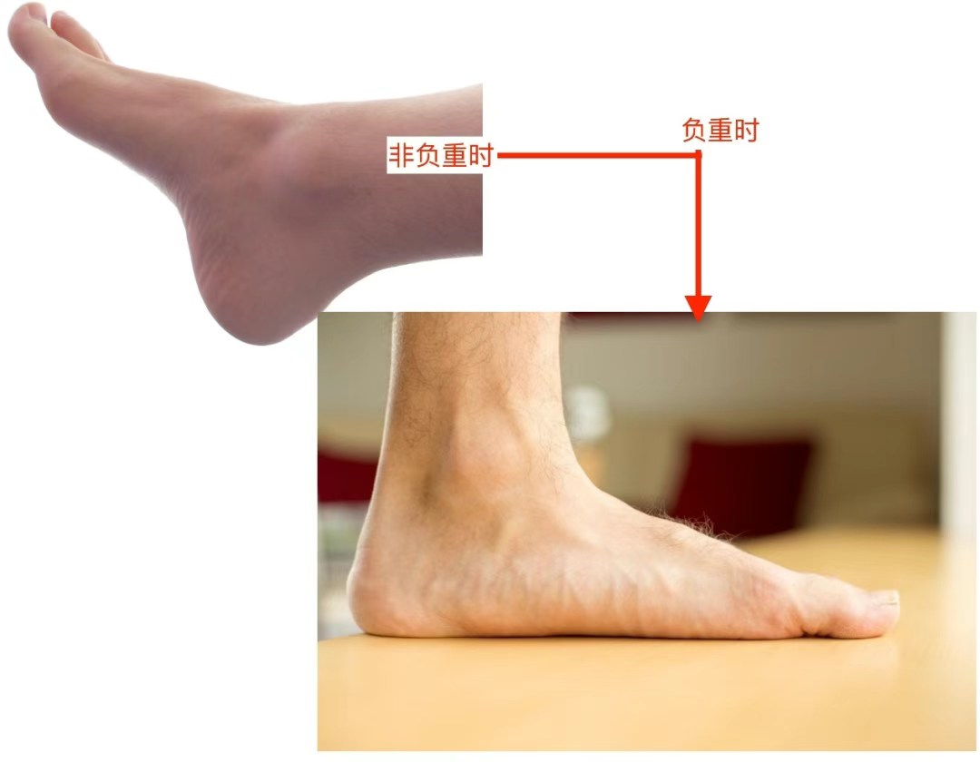 9e9c1f4c4fc01c176f199710b41f71e.png 9e9c1f4c4fc01c176f199710b41f71e.png