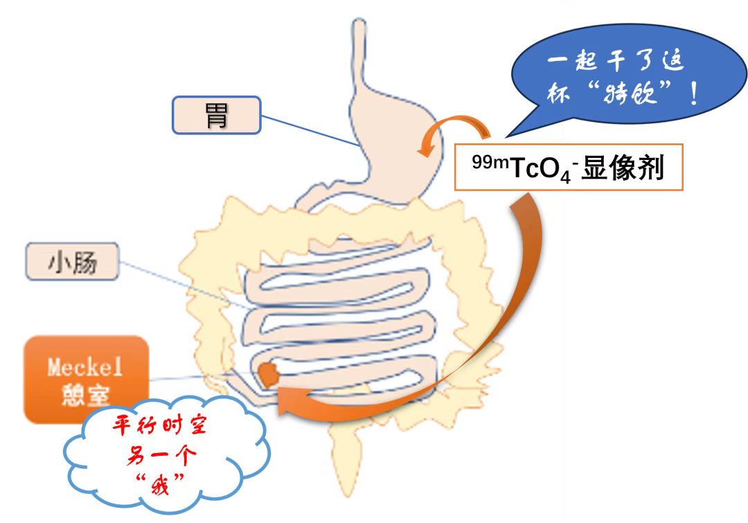 7aaa7de46cdb68a7f50139e88d146014.png